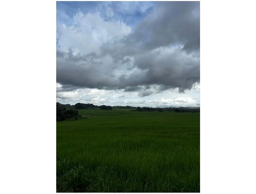 LAS TABLAS / PARITILLA / FARM / 52 HECTARES / GREEN AREAS