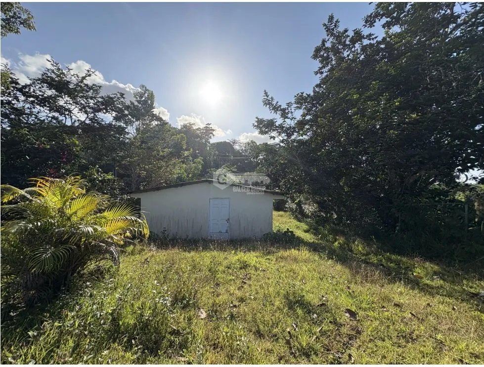 CAPIRA / CIRI GRANDE / FARM WITH HOUSE / 1.5 HECTARES / FRESH WATER