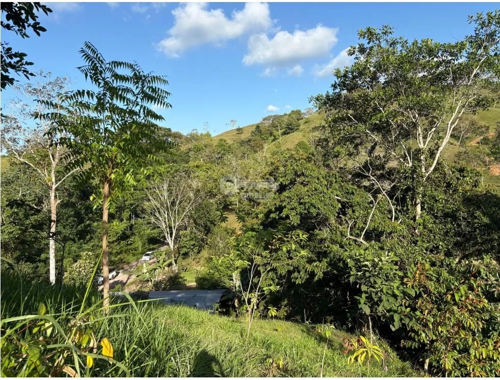 CAPIRA / CIRI GRANDE / FARM WITH HOUSE / 1.5 HECTARES / FRESH WATER