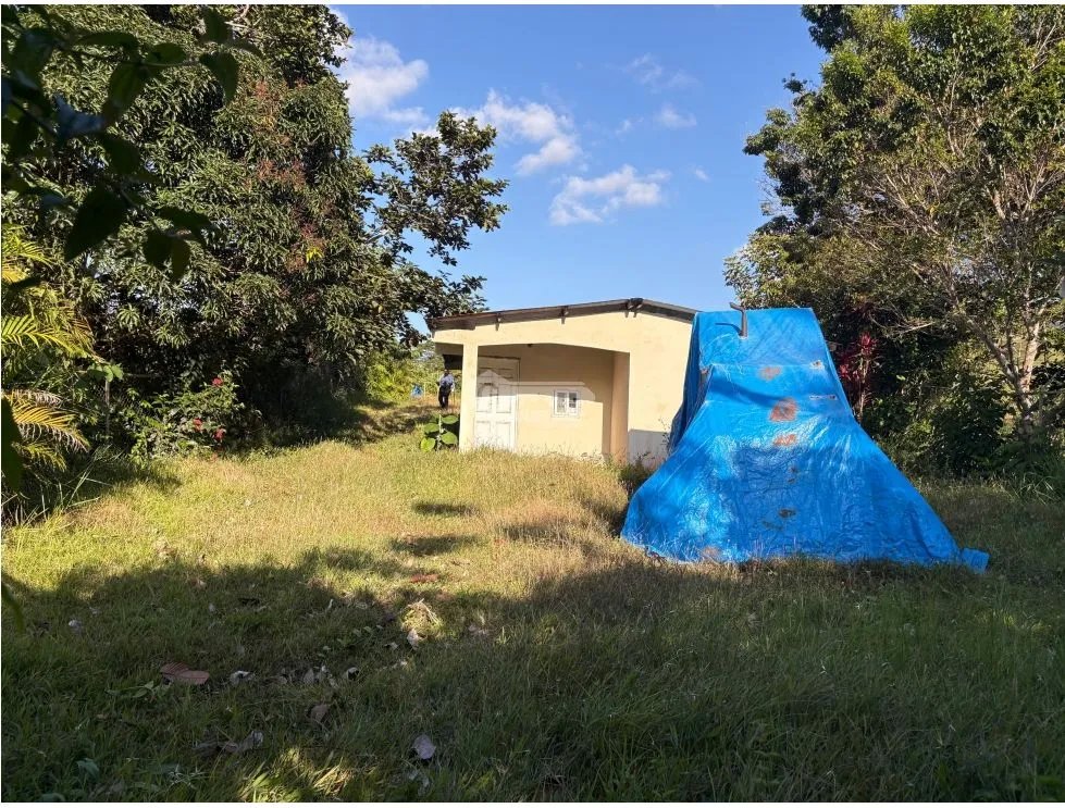 FARM FOR SALE IN CAPIRA CIRI GRANDE 1.5 HECTARES WITH FRUIT TREES