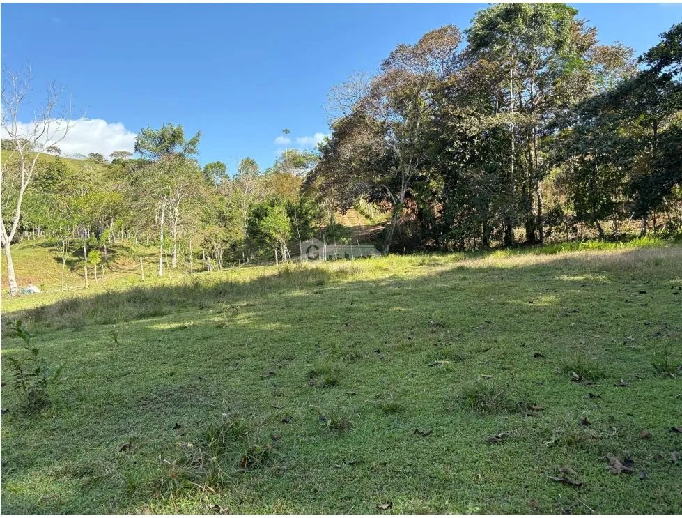 FARM FOR SALE IN CAPIRA CIRI GRANDE 1.5 HECTARES WITH FRUIT TREES