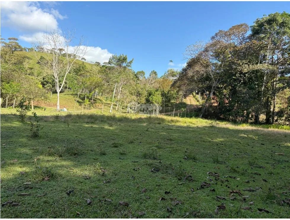 CAPIRA / CIRI GRANDE / FARM WITH HOUSE / 1.5 HECTARES / FRESH WATER