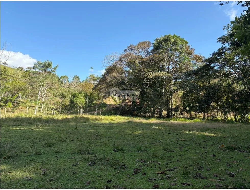CAPIRA / CIRI GRANDE / FARM WITH HOUSE / 1.5 HECTARES / FRESH WATER