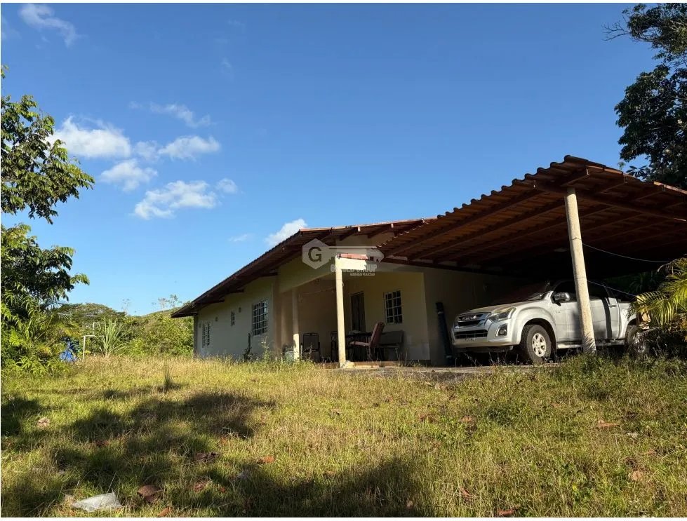 CAPIRA / CIRI GRANDE / FARM WITH HOUSE / 1.5 HECTARES / FRESH WATER