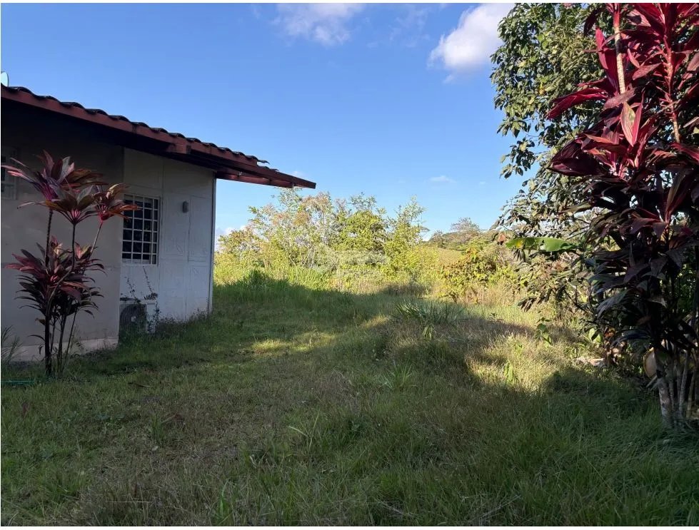 CAPIRA / CIRI GRANDE / FARM WITH HOUSE / 1.5 HECTARES / FRESH WATER