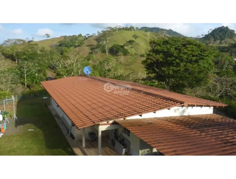 CAPIRA / CIRI GRANDE / FARM WITH HOUSE / 1.5 HECTARES / FRESH WATER