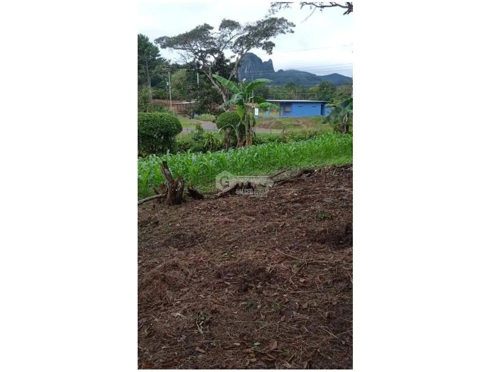 CHAME / SORA / 5268 M2 / HOUSE / SPACIOUS LAND / COOL CLIMATE