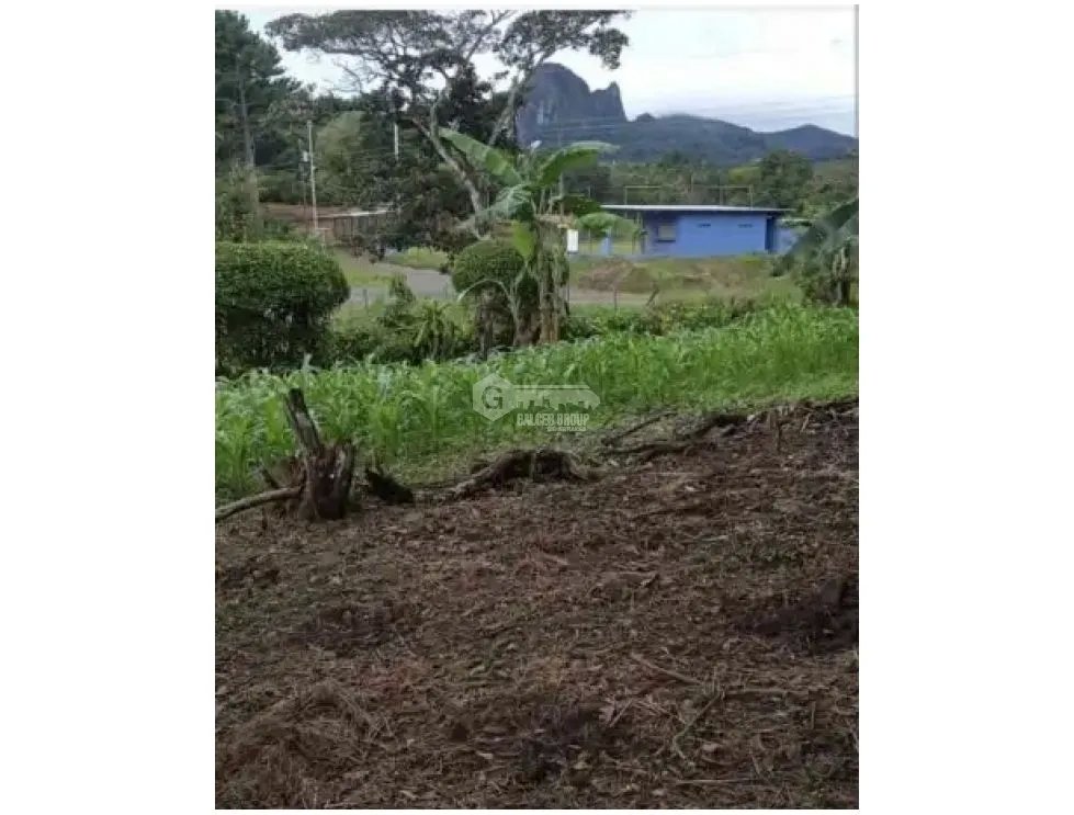 CHAME / SORA / 5268 M2 / HOUSE / SPACIOUS LAND / COOL CLIMATE