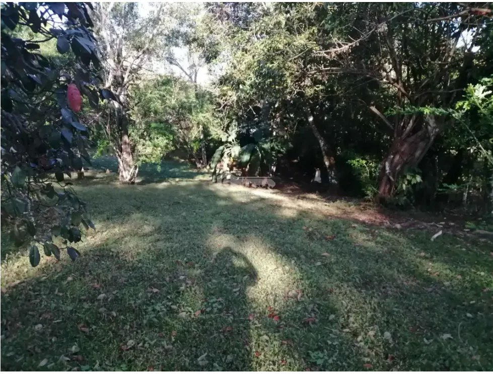 CHAME / SORA / 5268 M2 / HOUSE / SPACIOUS LAND / COOL CLIMATE
