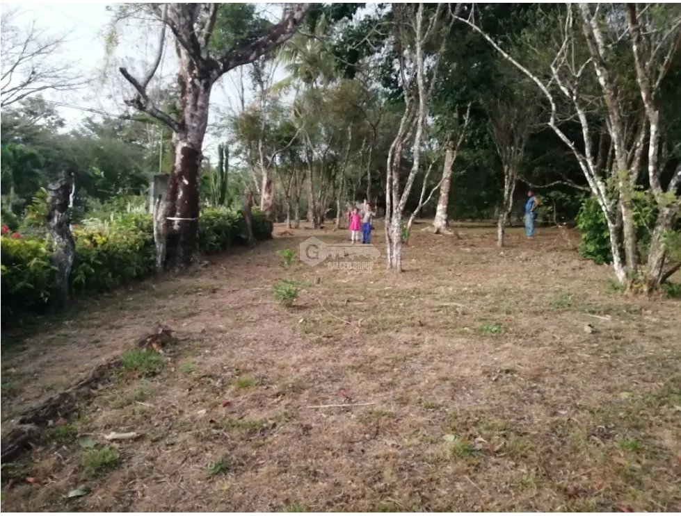 CHAME / SORA / 5268 M2 / HOUSE / SPACIOUS LAND / COOL CLIMATE