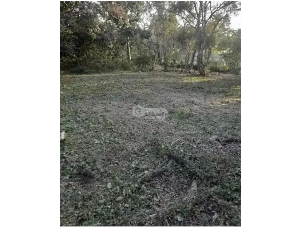 CHAME / SORA / 5268 M2 / HOUSE / SPACIOUS LAND / COOL CLIMATE