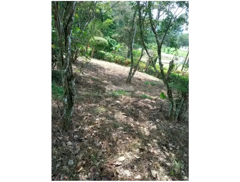 CHAME / SORA / 5268 M2 / HOUSE / SPACIOUS LAND / COOL CLIMATE