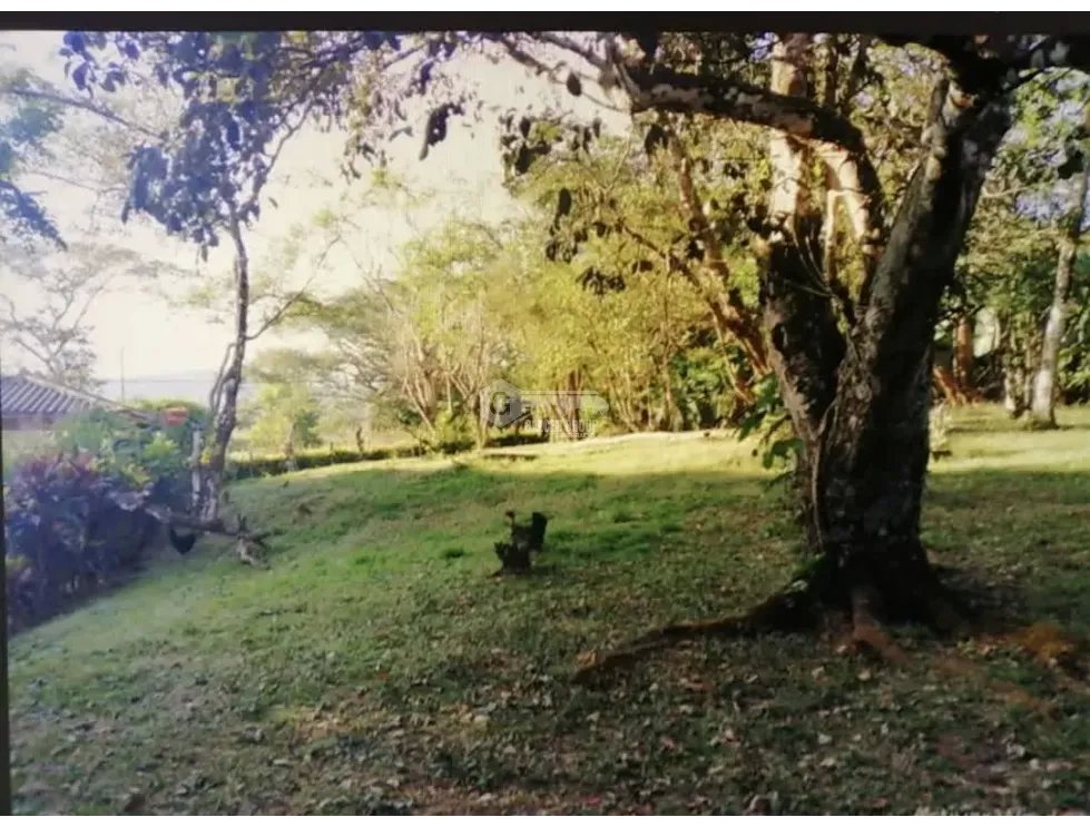 CHAME / SORA / 5268 M2 / HOUSE / SPACIOUS LAND / COOL CLIMATE