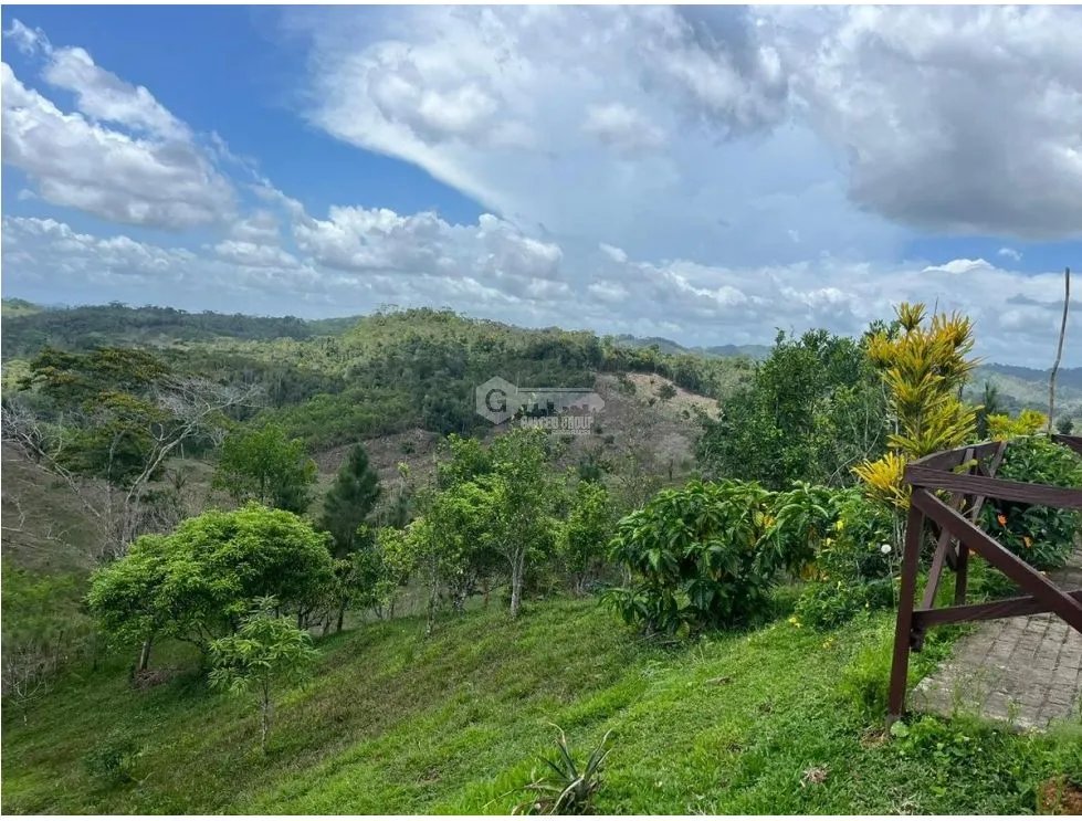 SE VENDE FINCA CON CASA DE 2 PISO EN CAPIRA 38 HECTAREAS
