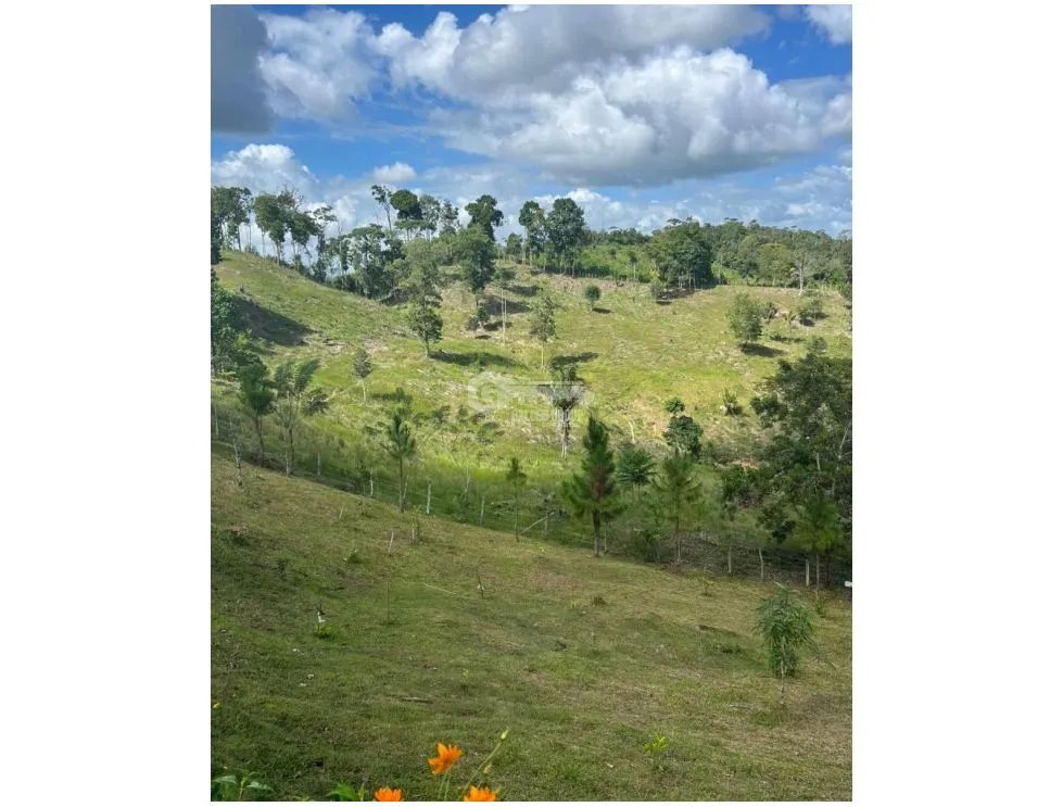 SE VENDE FINCA CON CASA DE 2 PISO EN CAPIRA 38 HECTAREAS