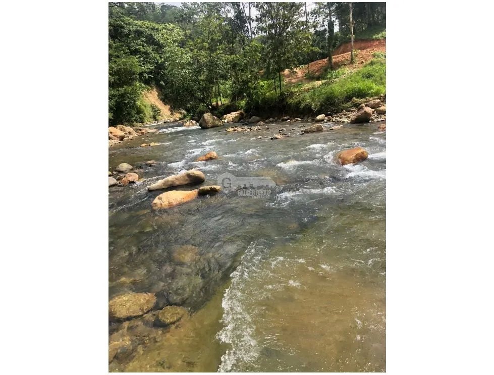 SE VENDE FINCA CON CASA DE 2 PISO EN CAPIRA 38 HECTAREAS