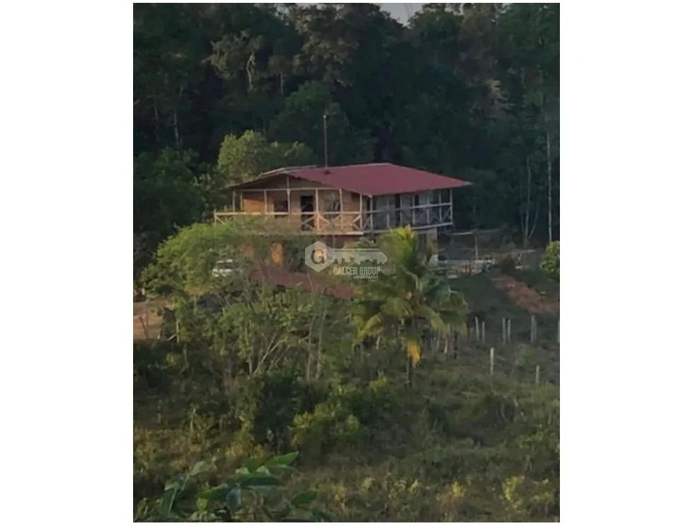 SE VENDE FINCA CON CASA DE 2 PISO EN CAPIRA 38 HECTAREAS