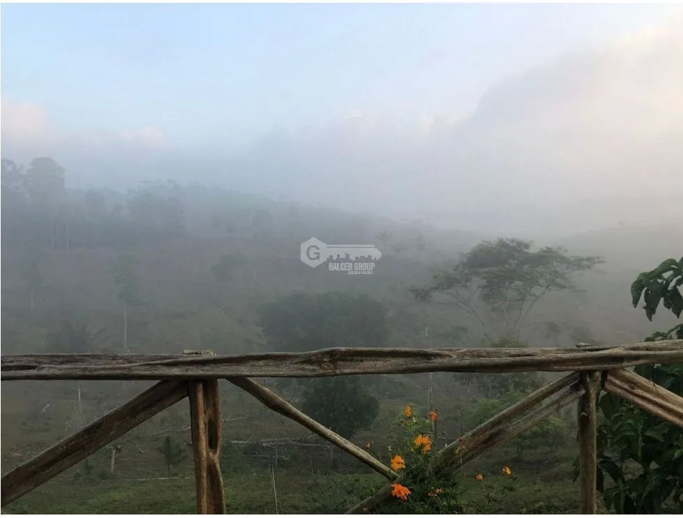 FINCA CON CASA DE 2 PISO / CAPIRA / 38 HECTAREA / RIO Y OJO DE AGUA JC