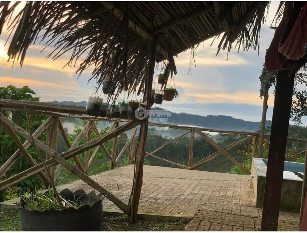 FINCA CON CASA DE 2 PISO / CAPIRA / 38 HECTAREA / RIO Y OJO DE AGUA JC
