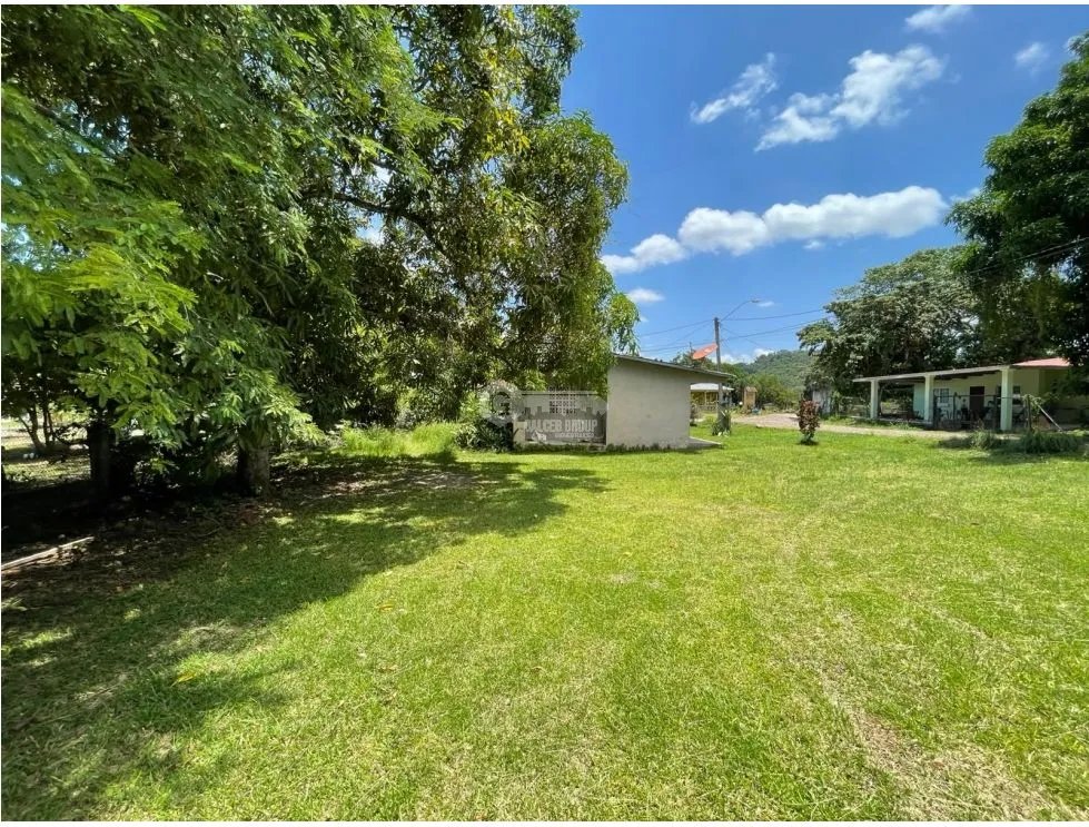 CHORRERA / LLANO LARGO / 1000 M2 / AMPLIO TERRENO / ZONAS VERDES