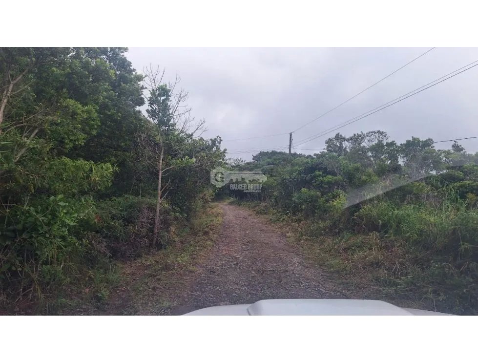 LAND FOR SALE IN CAPIRA CHICA - 2.98 HECTARES WITH COOL CLIMATE