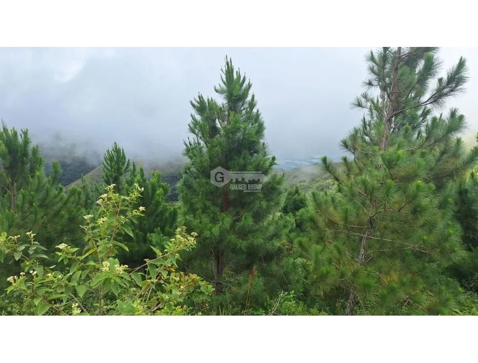 LAND FOR SALE IN CAPIRA CHICA - 2.98 HECTARES WITH COOL CLIMATE