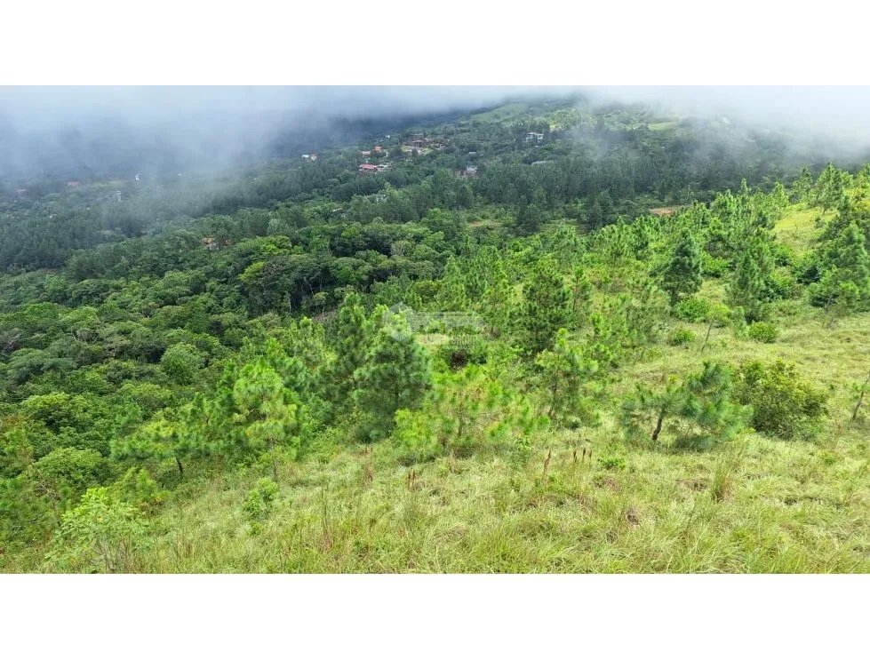 LAND FOR SALE IN CAPIRA CHICA - 2.98 HECTARES WITH COOL CLIMATE