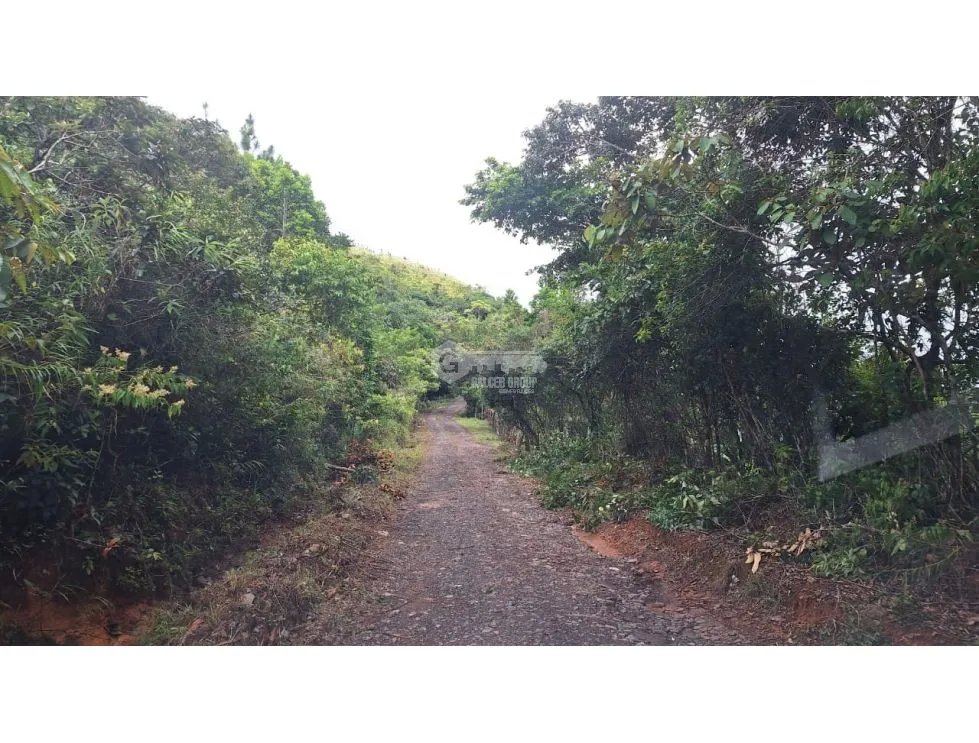 LAND FOR SALE IN CAPIRA CHICA - 2.98 HECTARES WITH COOL CLIMATE
