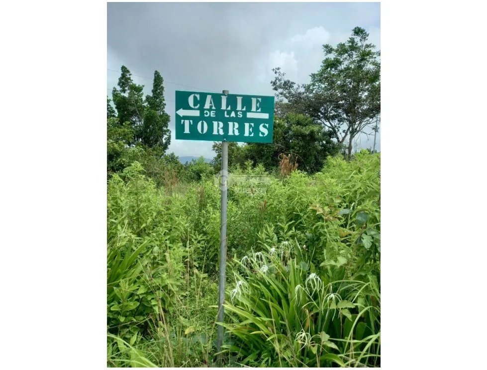 LAND FOR SALE IN CAPIRA CHICA - 2.98 HECTARES WITH COOL CLIMATE