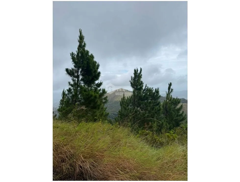 LAND FOR SALE IN CAPIRA CHICA - 2.98 HECTARES WITH COOL CLIMATE