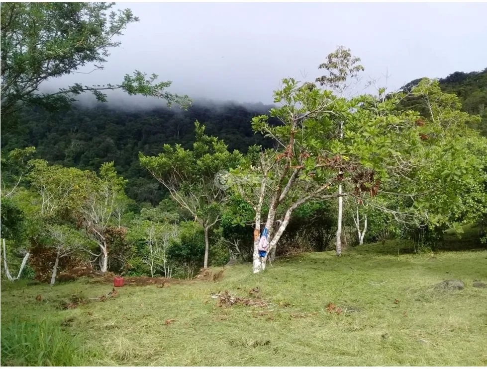LAND FOR SALE IN CAPIRA CHICA - 2.98 HECTARES WITH COOL CLIMATE