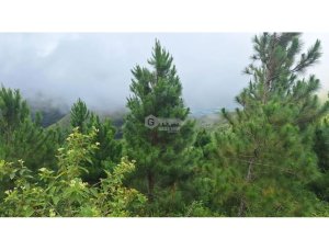 LAND FOR SALE IN CAPIRA CHICA - 2.98 HECTARES WITH COOL CLIM…