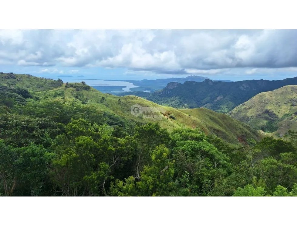 CAPIRA / CHICA / 2.98 HECTARES / GREEN AREAS / COOL CLIMATE