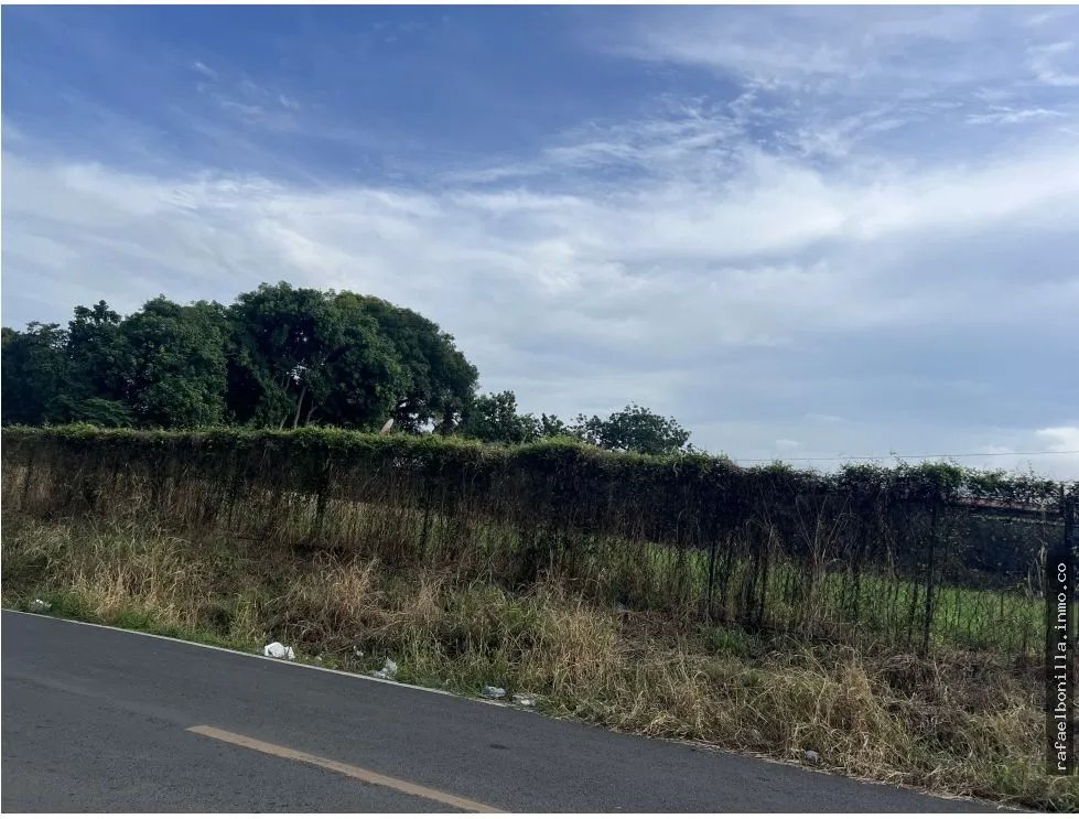 SE VENDE TERRENO EN PEDREGAL