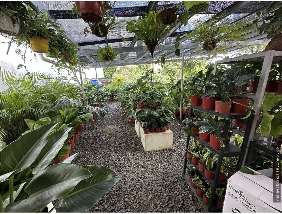 SE VENDE O ALQUILA TERRENO EN COCO DEL MAR