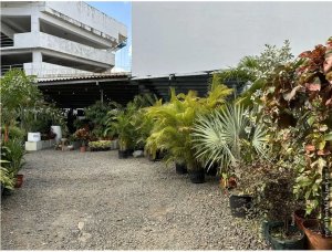 LAND FOR SALE OR RENT IN COCO DEL MAR