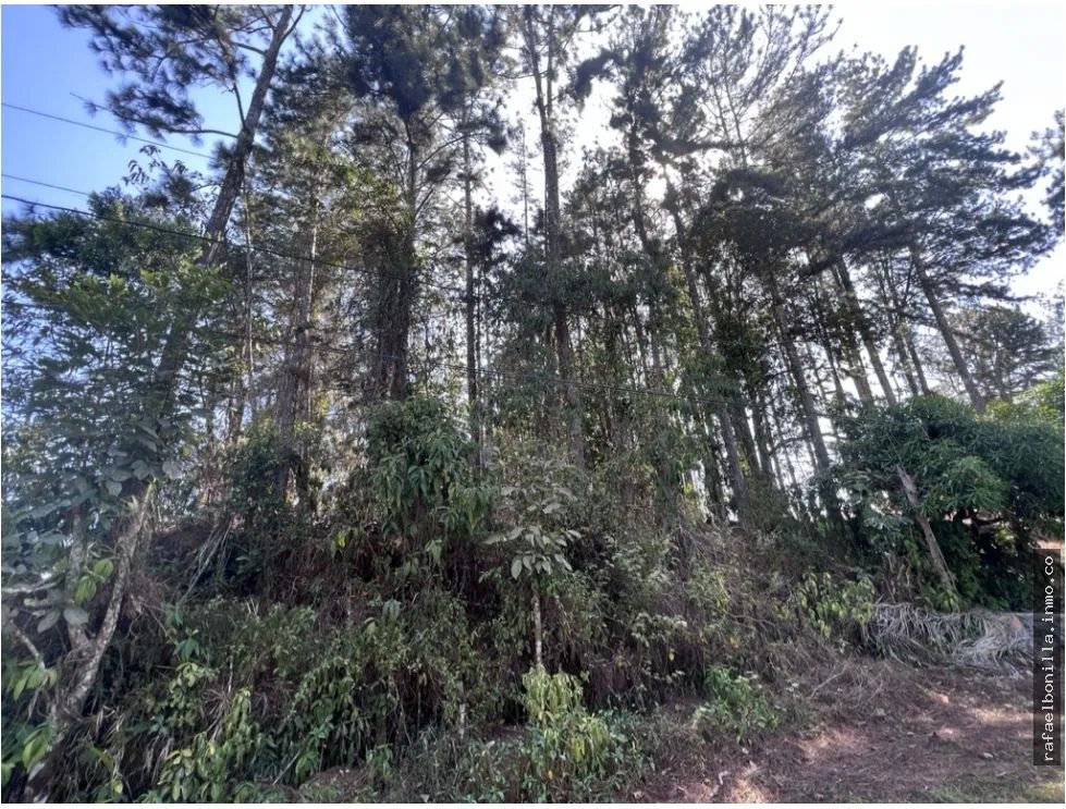 SE VENDE TERRENO EN CERRO AZUL (URBANIZACIÓN LAS NUBES)