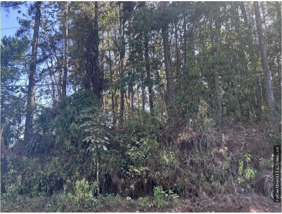 SE VENDE TERRENO EN CERRO AZUL (URBANIZACIÓN LAS NUBES)