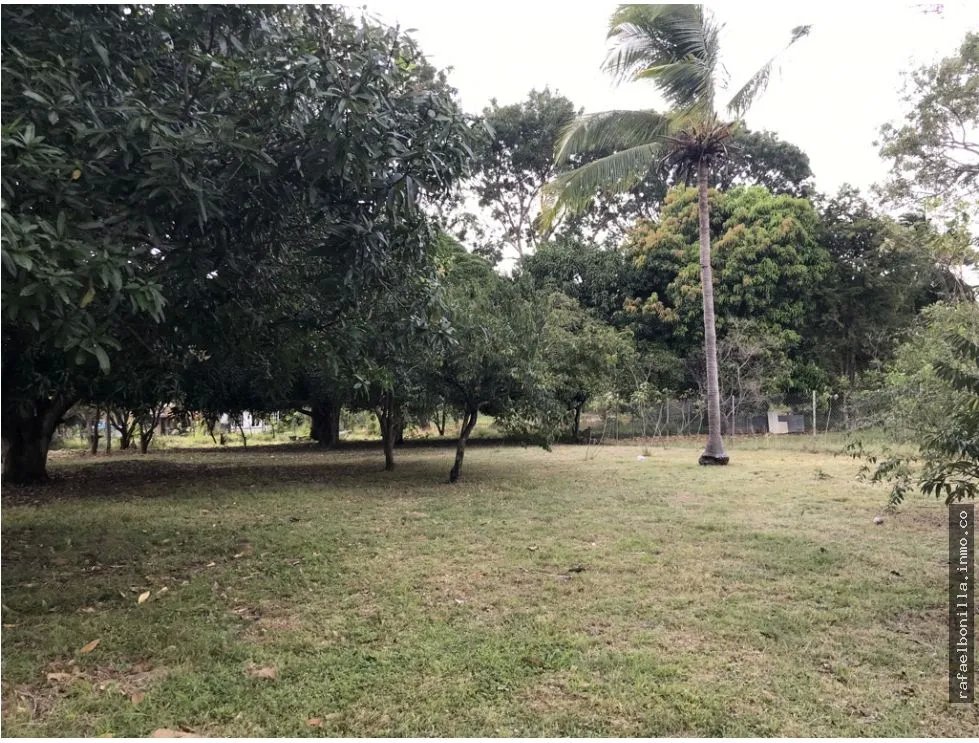 Land for Sale in Gorgona