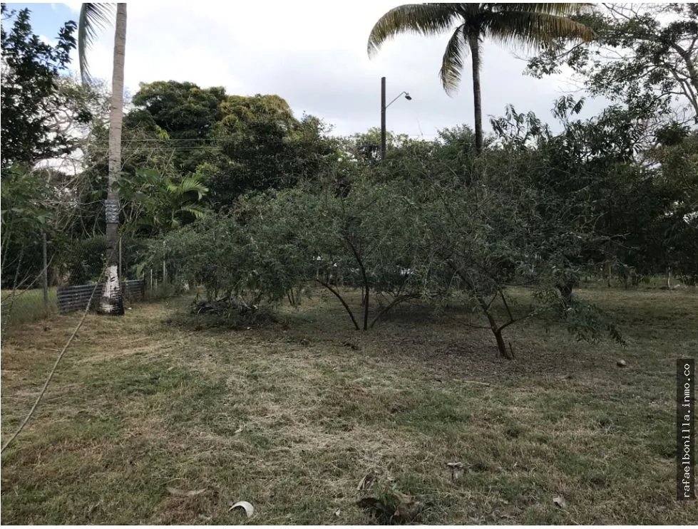 Land for Sale in Gorgona