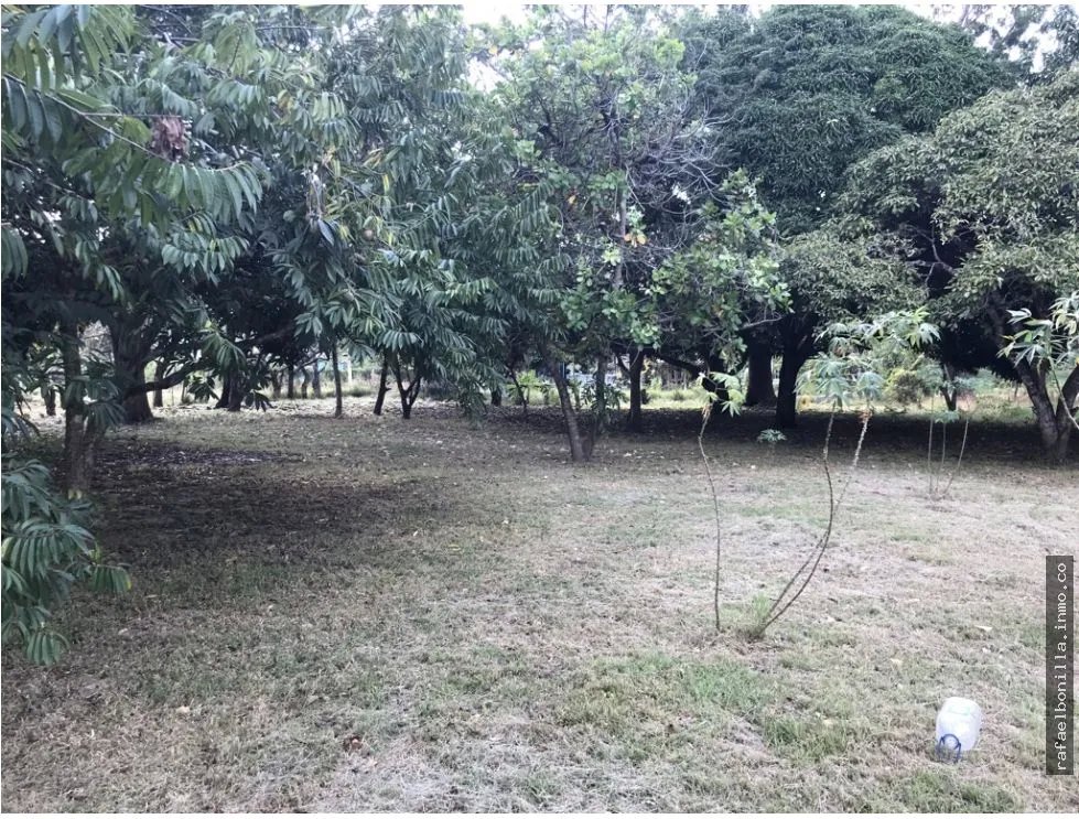 Land for Sale in Gorgona