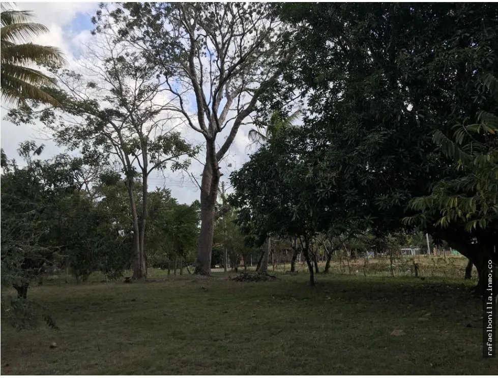 Land for Sale in Gorgona