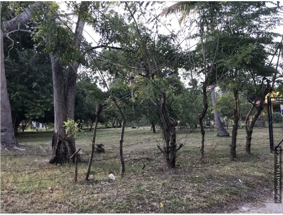 Land for Sale in Gorgona