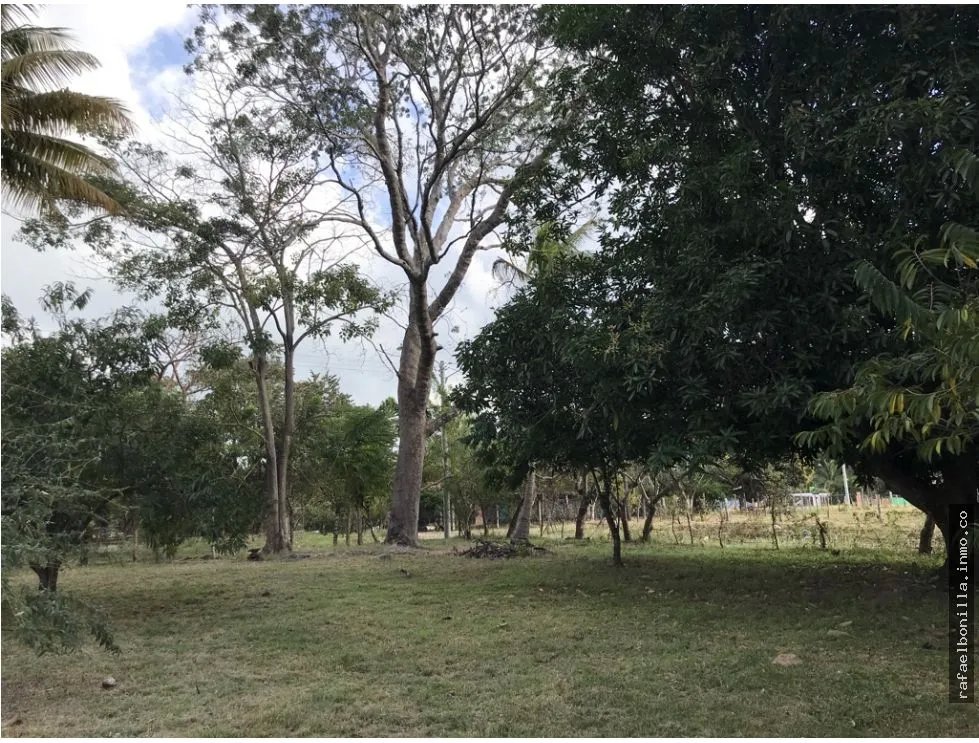 Land for Sale in Gorgona