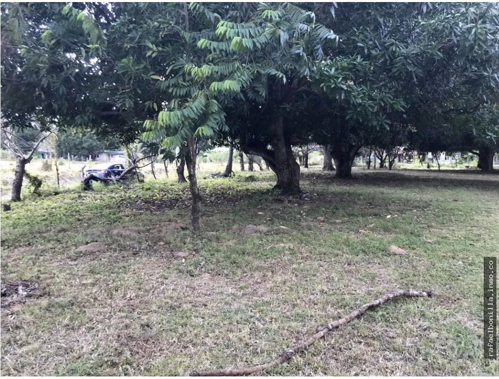 Land for Sale in Gorgona