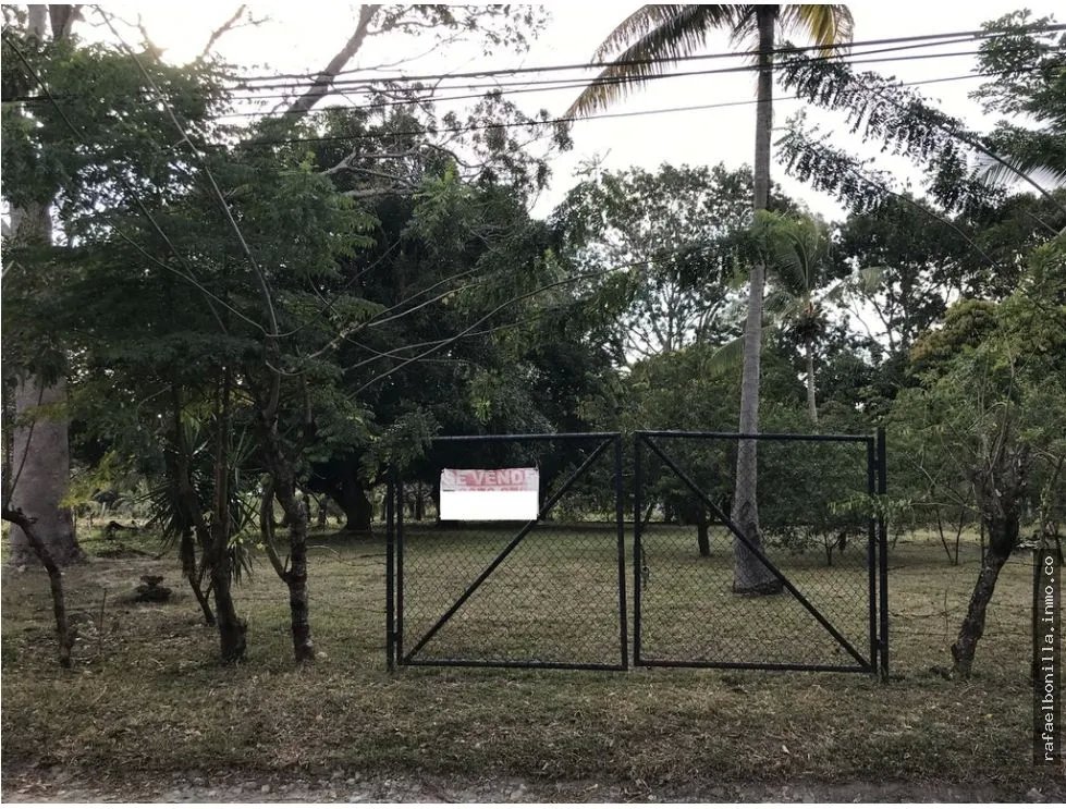 Land for Sale in Gorgona