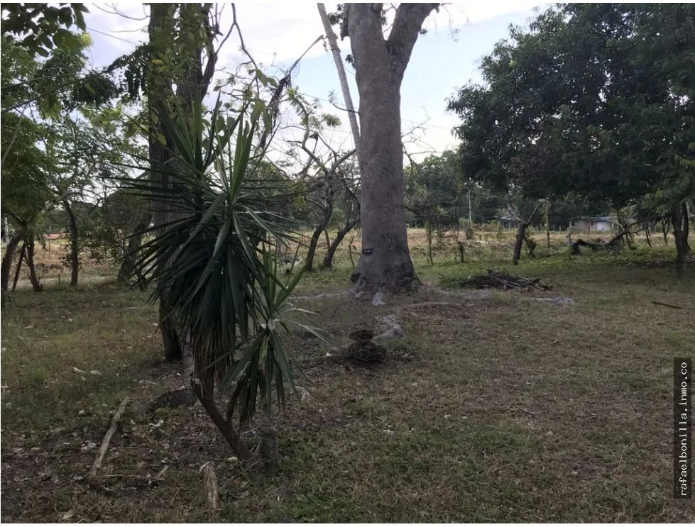 Land for Sale in Gorgona