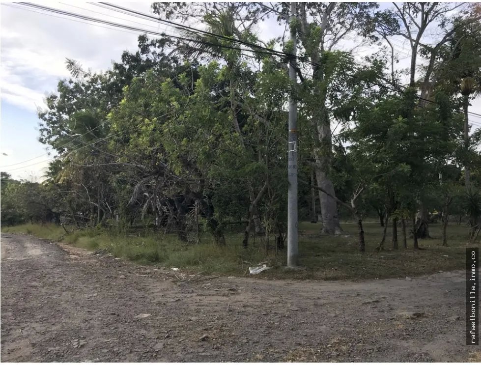 Land for Sale in Gorgona