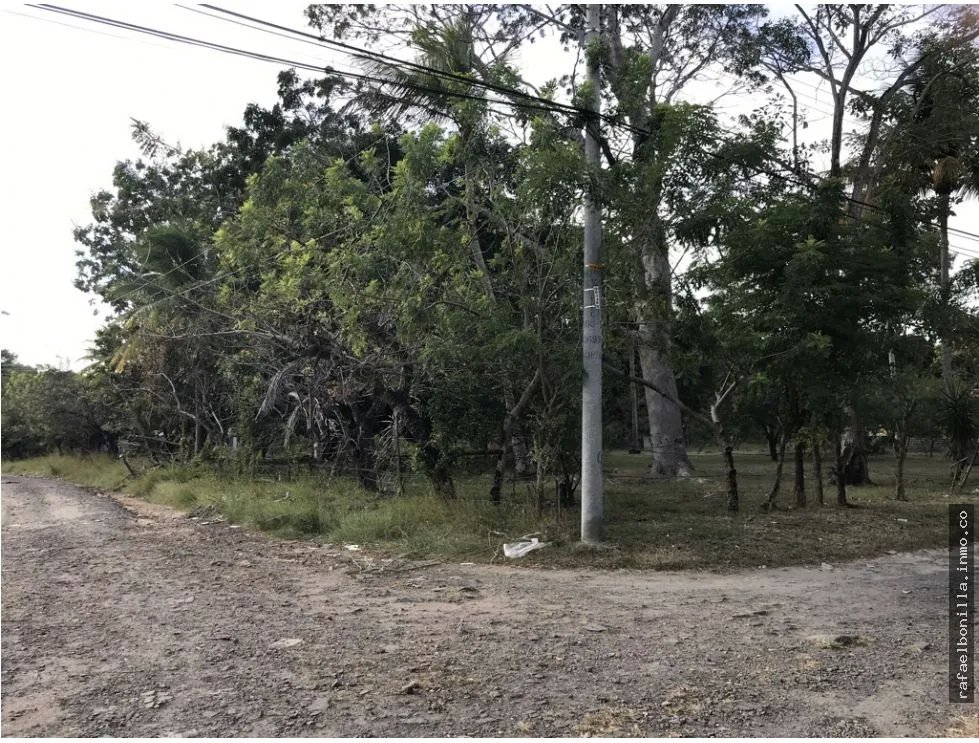 Land for Sale in Gorgona