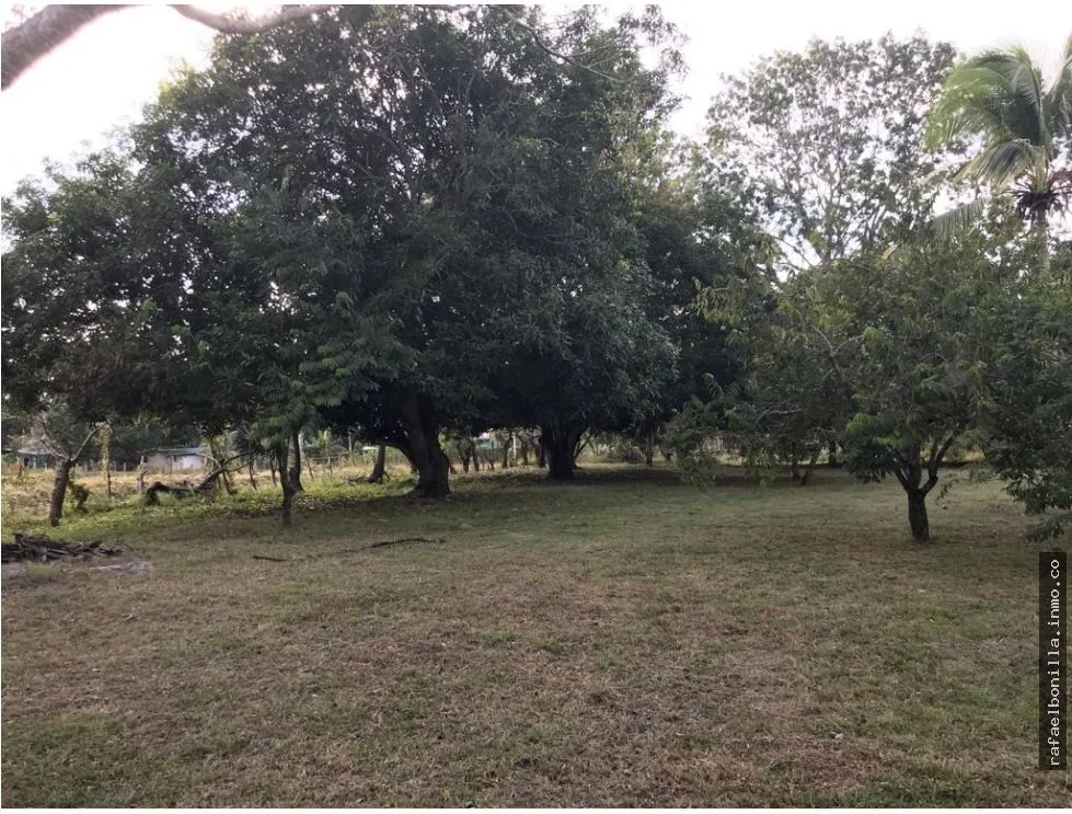 Land for Sale in Gorgona